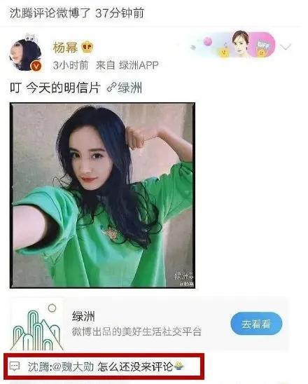娱乐圈吃瓜网站大全,全网最全吃瓜网站大全大起底