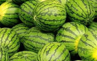 每日大赛在线吃瓜入口,在线吃瓜入口，揭秘精彩瞬间