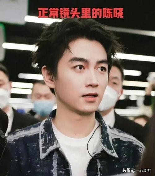 娱乐圈的吃瓜少年,揭秘明星幕后故事