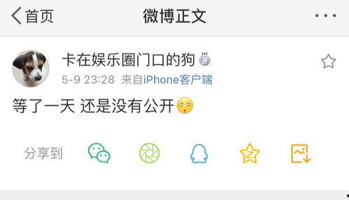 吃瓜大队爆料解压码,解压码背后的趣味故事