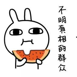 娱乐吃瓜经典语录